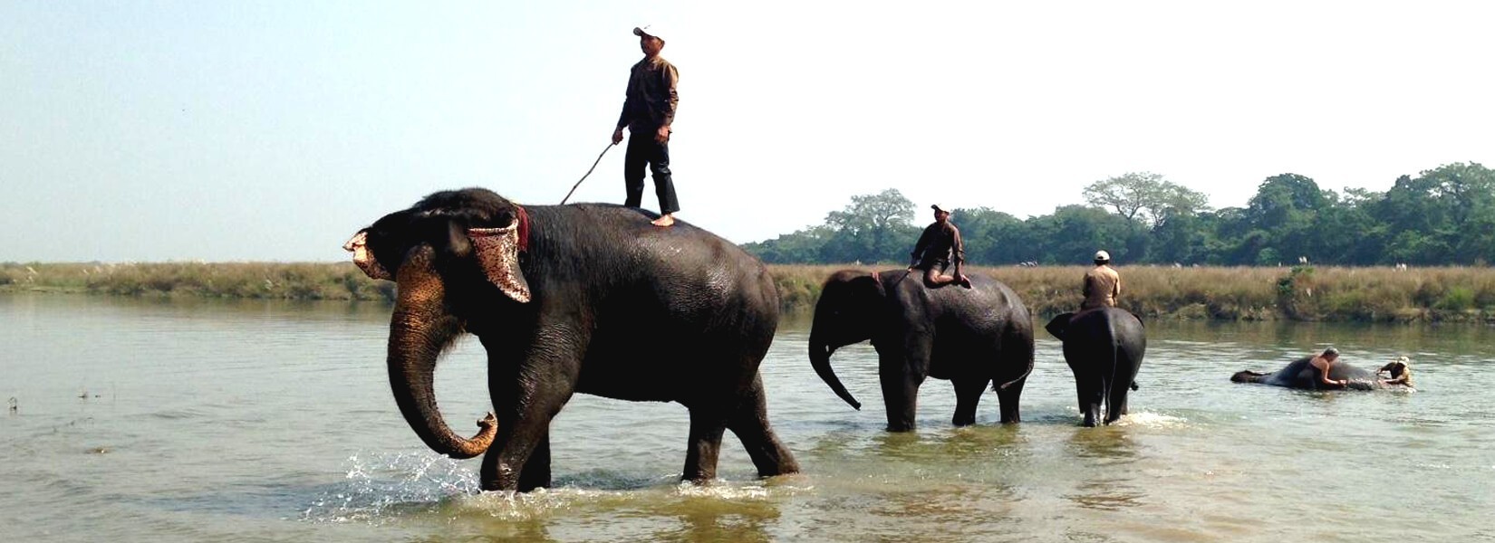 Jungle Safari in Nepal